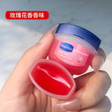 4PCs Lip Balm Moisturizing Lipstick Base Moisturizer Makeup Natural Plant Anti-Cracking Lip Care Petroleum Jelly Lip Balm